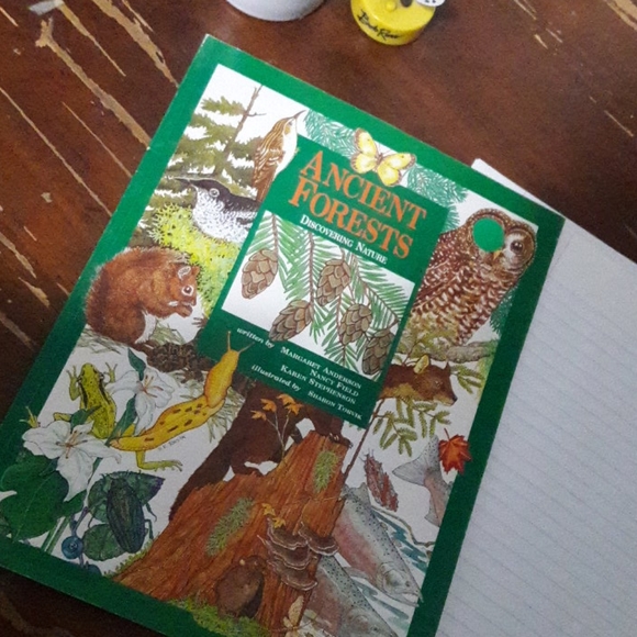 Ancient Forests Workbook by Margaret Anderson | homeschool - Picture 2 of 7